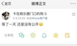 爆料吃瓜网站在线浏览,吃瓜网站背后的真相与争议